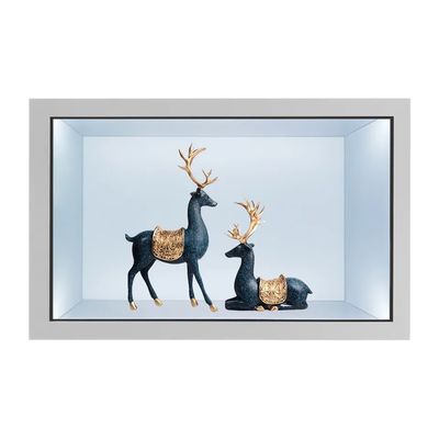 21,5-inch Transparante LCD Showcase met Capacitief Touchscreen en 2000 nits Helderheid Digitale Displaykast